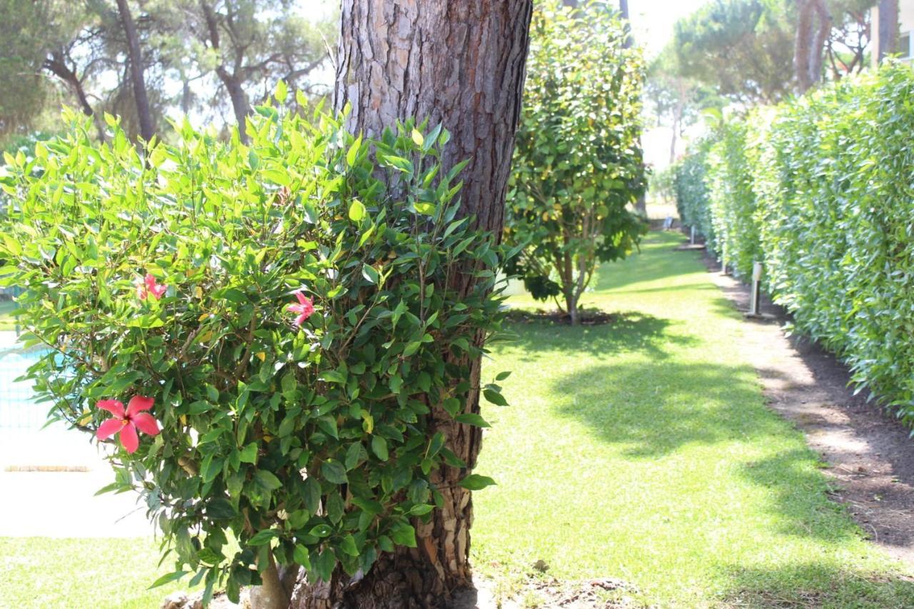 The Pinewood Villa Vilamoura Eksteriør billede
