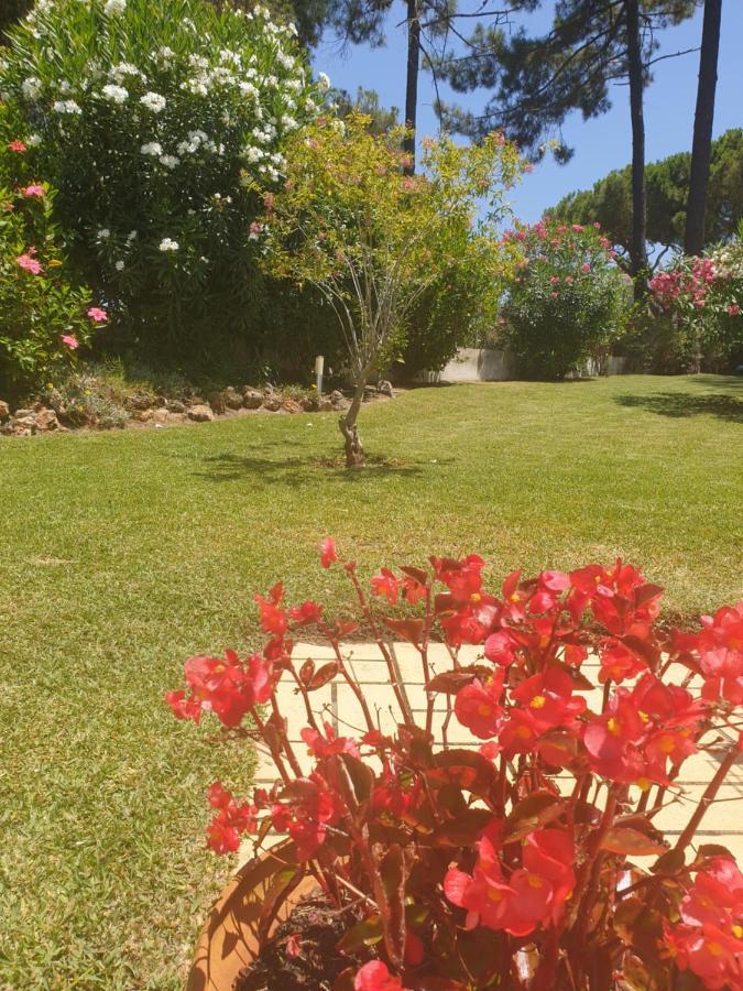 The Pinewood Villa Vilamoura Eksteriør billede