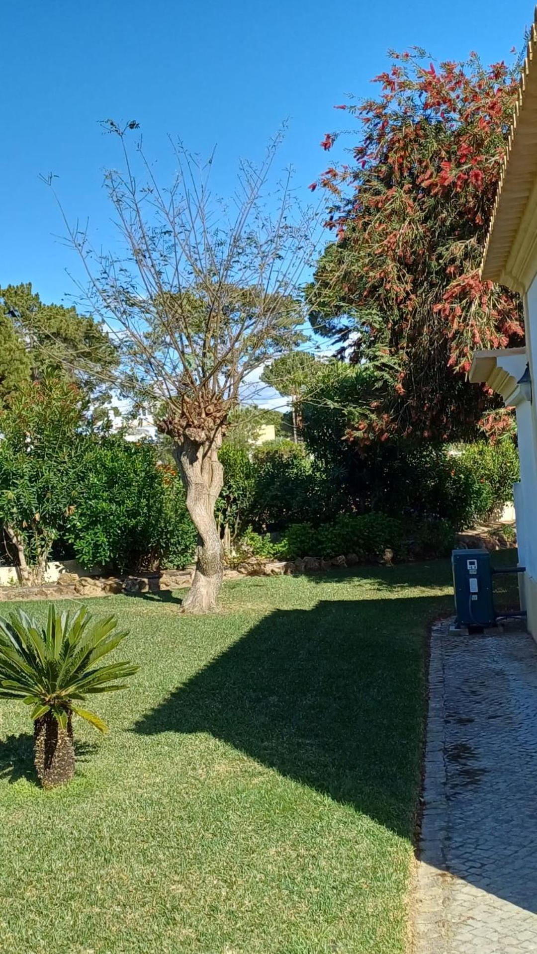 The Pinewood Villa Vilamoura Eksteriør billede