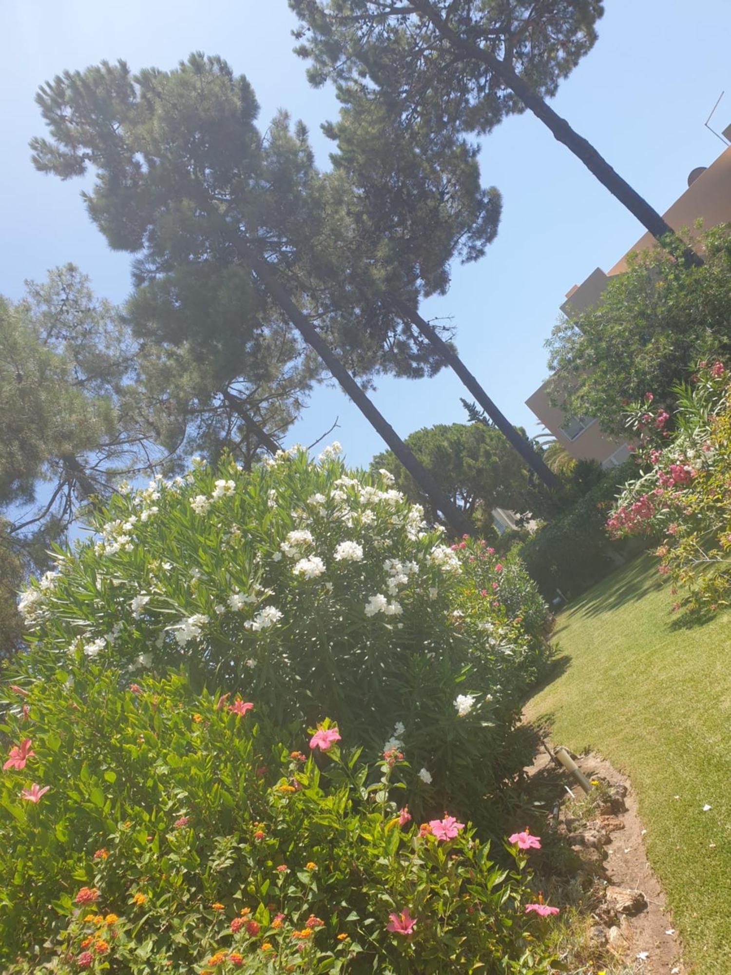 The Pinewood Villa Vilamoura Værelse billede